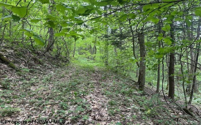 TBD Snake Road, Rowlesburg, West Virginia 26425, ,Lots/land,For Sale,Snake,10159735