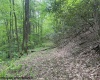 TBD Snake Road, Rowlesburg, West Virginia 26425, ,Lots/land,For Sale,Snake,10159735