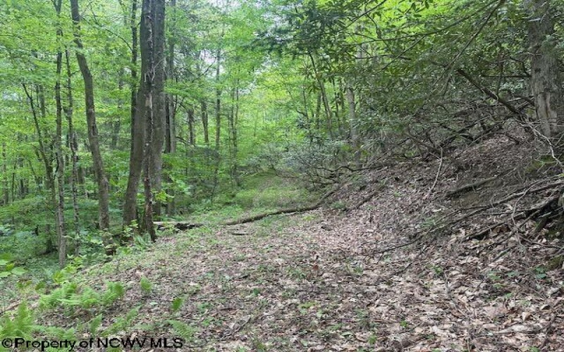 TBD Snake Road, Rowlesburg, West Virginia 26425, ,Lots/land,For Sale,Snake,10159735