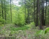TBD Snake Road, Rowlesburg, West Virginia 26425, ,Lots/land,For Sale,Snake,10159735