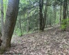 TBD Snake Road, Rowlesburg, West Virginia 26425, ,Lots/land,For Sale,Snake,10159735