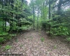 TBD Snake Road, Rowlesburg, West Virginia 26425, ,Lots/land,For Sale,Snake,10159735