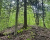 TBD Snake Road, Rowlesburg, West Virginia 26425, ,Lots/land,For Sale,Snake,10159735