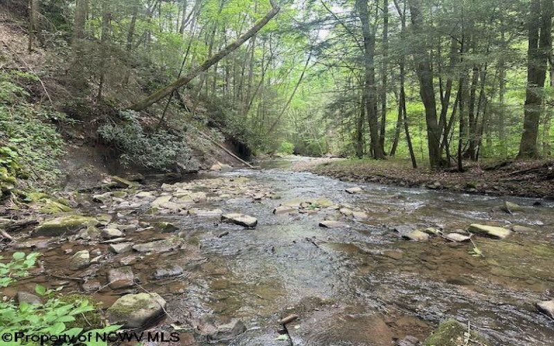 TBD Snake Road, Rowlesburg, West Virginia 26425, ,Lots/land,For Sale,Snake,10159735