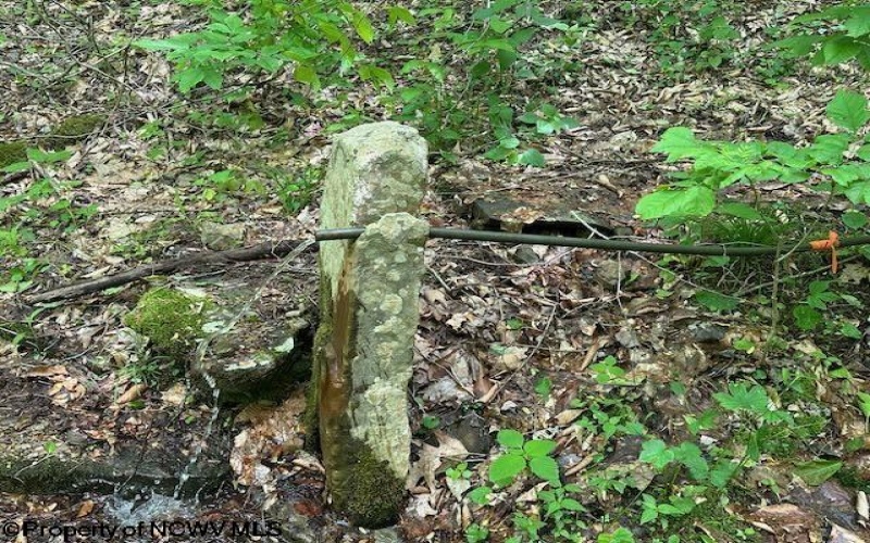 TBD Snake Road, Rowlesburg, West Virginia 26425, ,Lots/land,For Sale,Snake,10159735