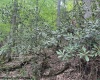 TBD Snake Road, Rowlesburg, West Virginia 26425, ,Lots/land,For Sale,Snake,10159735