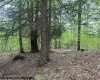 TBD Snake Road, Rowlesburg, West Virginia 26425, ,Lots/land,For Sale,Snake,10159735