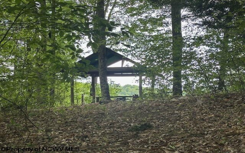 TBD Snake Road, Rowlesburg, West Virginia 26425, ,Lots/land,For Sale,Snake,10159735
