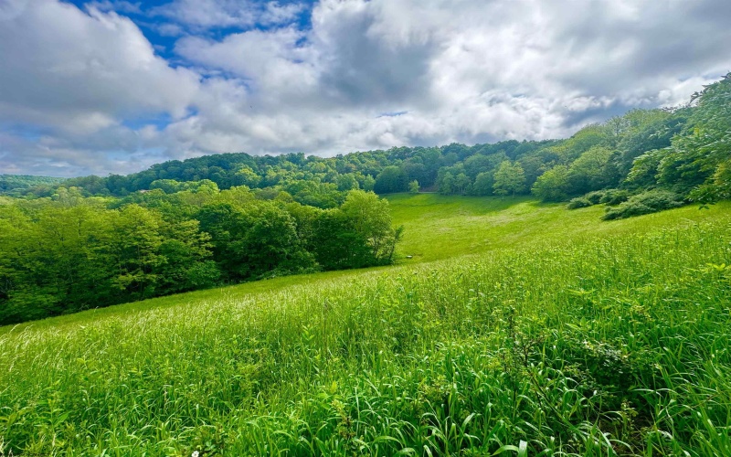14451 Proctor Creek Road, New Martinsville, West Virginia 26155, 2 Bedrooms Bedrooms, 5 Rooms Rooms,1 BathroomBathrooms,Single Family Detached,For Sale,Proctor Creek,10159734