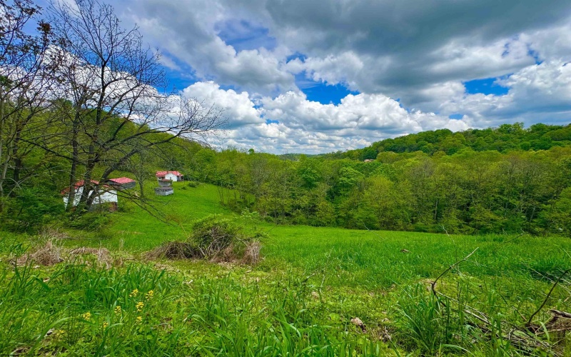14451 Proctor Creek Road, New Martinsville, West Virginia 26155, 2 Bedrooms Bedrooms, 5 Rooms Rooms,1 BathroomBathrooms,Single Family Detached,For Sale,Proctor Creek,10159734
