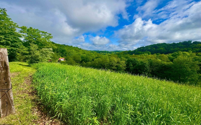 14451 Proctor Creek Road, New Martinsville, West Virginia 26155, 2 Bedrooms Bedrooms, 5 Rooms Rooms,1 BathroomBathrooms,Single Family Detached,For Sale,Proctor Creek,10159734
