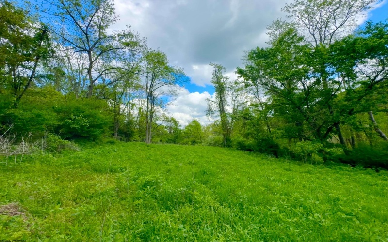 14451 Proctor Creek Road, New Martinsville, West Virginia 26155, 2 Bedrooms Bedrooms, 5 Rooms Rooms,1 BathroomBathrooms,Single Family Detached,For Sale,Proctor Creek,10159734