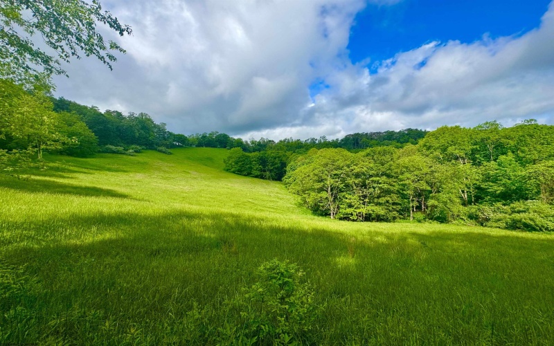 14451 Proctor Creek Road, New Martinsville, West Virginia 26155, 2 Bedrooms Bedrooms, 5 Rooms Rooms,1 BathroomBathrooms,Single Family Detached,For Sale,Proctor Creek,10159734