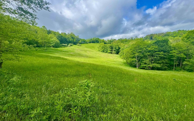14451 Proctor Creek Road, New Martinsville, West Virginia 26155, 2 Bedrooms Bedrooms, 5 Rooms Rooms,1 BathroomBathrooms,Single Family Detached,For Sale,Proctor Creek,10159734