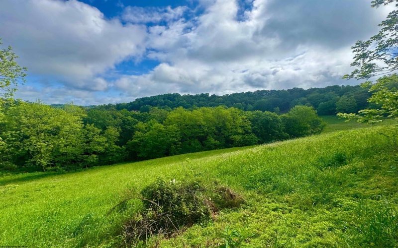 14451 Proctor Creek Road, New Martinsville, West Virginia 26155, 2 Bedrooms Bedrooms, 5 Rooms Rooms,1 BathroomBathrooms,Single Family Detached,For Sale,Proctor Creek,10159734