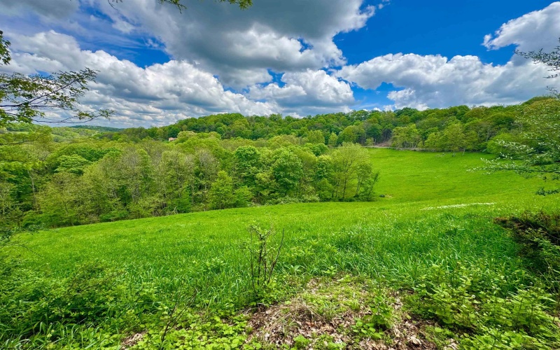 14451 Proctor Creek Road, New Martinsville, West Virginia 26155, 2 Bedrooms Bedrooms, 5 Rooms Rooms,1 BathroomBathrooms,Single Family Detached,For Sale,Proctor Creek,10159734