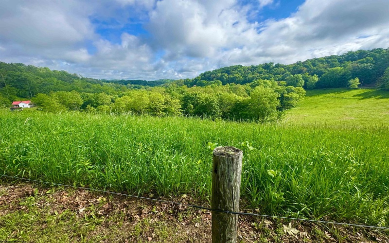 14451 Proctor Creek Road, New Martinsville, West Virginia 26155, 2 Bedrooms Bedrooms, 5 Rooms Rooms,1 BathroomBathrooms,Single Family Detached,For Sale,Proctor Creek,10159734