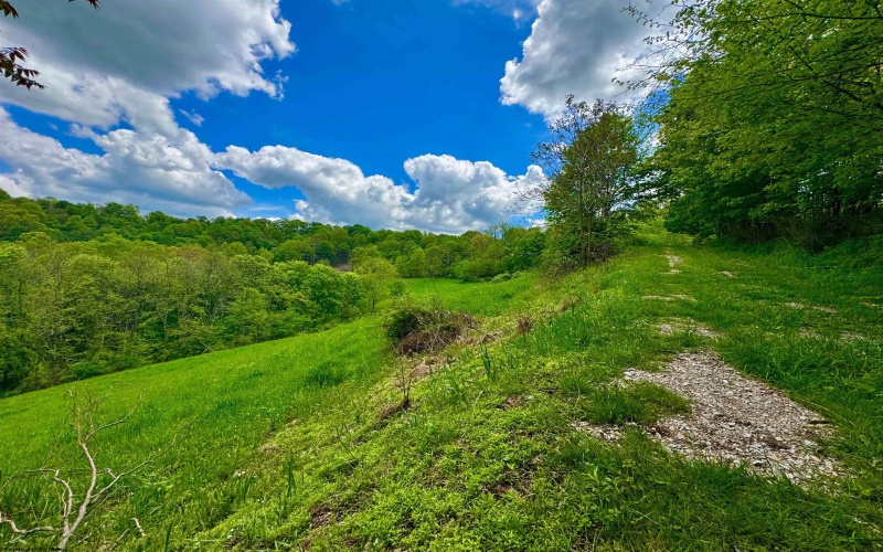 14451 Proctor Creek Road, New Martinsville, West Virginia 26155, 2 Bedrooms Bedrooms, 5 Rooms Rooms,1 BathroomBathrooms,Single Family Detached,For Sale,Proctor Creek,10159734