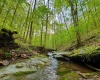 14451 Proctor Creek Road, New Martinsville, West Virginia 26155, 2 Bedrooms Bedrooms, 5 Rooms Rooms,1 BathroomBathrooms,Single Family Detached,For Sale,Proctor Creek,10159734