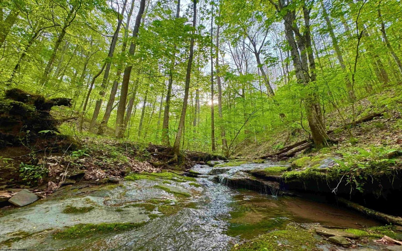 14451 Proctor Creek Road, New Martinsville, West Virginia 26155, 2 Bedrooms Bedrooms, 5 Rooms Rooms,1 BathroomBathrooms,Single Family Detached,For Sale,Proctor Creek,10159734