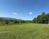 1209 Wolf Run Road, Hambleton, West Virginia 26269, ,Multi-unit/income,For Sale,Wolf Run,10159760