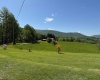 1209 Wolf Run Road, Hambleton, West Virginia 26269, ,Multi-unit/income,For Sale,Wolf Run,10159760