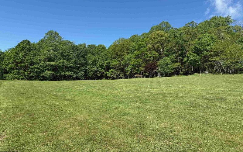 1209 Wolf Run Road, Hambleton, West Virginia 26269, ,Multi-unit/income,For Sale,Wolf Run,10159760