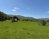 1209 Wolf Run Road, Hambleton, West Virginia 26269, ,Multi-unit/income,For Sale,Wolf Run,10159760