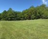 1209 Wolf Run Road, Hambleton, West Virginia 26269, ,Multi-unit/income,For Sale,Wolf Run,10159760