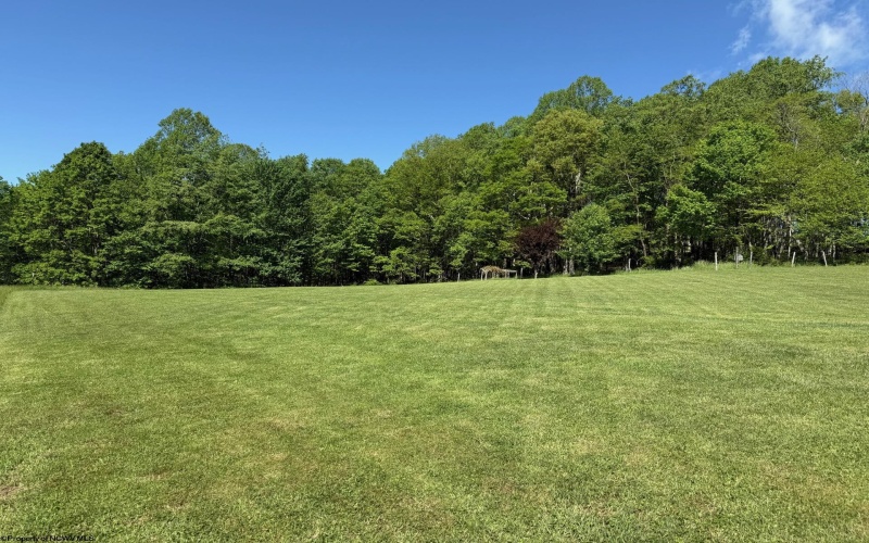 1209 Wolf Run Road, Hambleton, West Virginia 26269, ,Multi-unit/income,For Sale,Wolf Run,10159760