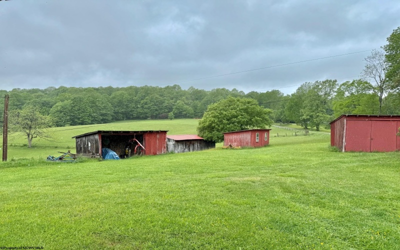 1209 Wolf Run Road, Hambleton, West Virginia 26269, ,Multi-unit/income,For Sale,Wolf Run,10159760