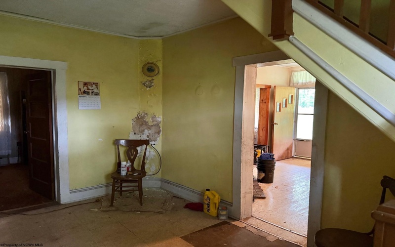1209 Wolf Run Road, Hambleton, West Virginia 26269, ,Multi-unit/income,For Sale,Wolf Run,10159760