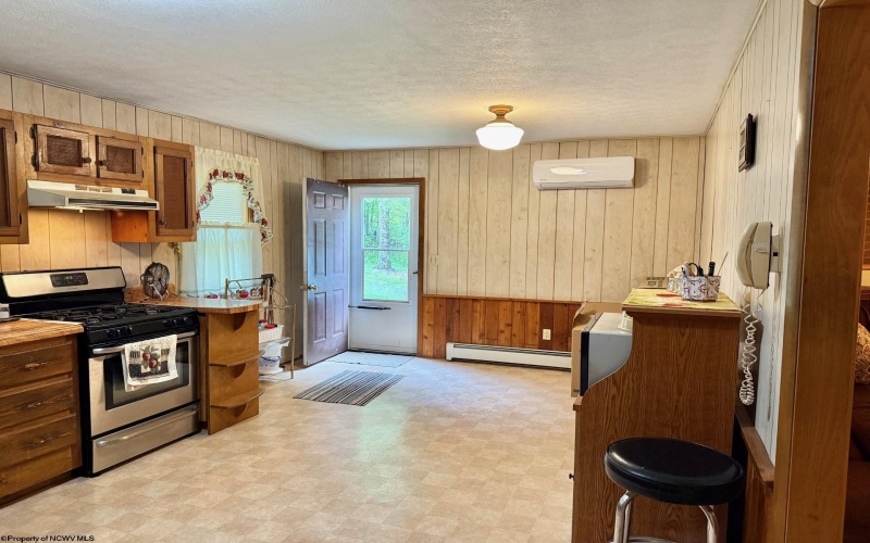1209 Wolf Run Road, Hambleton, West Virginia 26269, ,Multi-unit/income,For Sale,Wolf Run,10159760