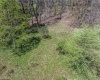 Lots 208-210 Laurel Circle, Terra Alta, West Virginia 26764, ,Lots/land,For Sale,Laurel,10159762