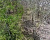 Lots 208-210 Laurel Circle, Terra Alta, West Virginia 26764, ,Lots/land,For Sale,Laurel,10159762