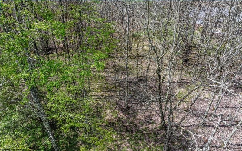 Lots 208-210 Laurel Circle, Terra Alta, West Virginia 26764, ,Lots/land,For Sale,Laurel,10159762