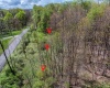 Lots 208-210 Laurel Circle, Terra Alta, West Virginia 26764, ,Lots/land,For Sale,Laurel,10159762