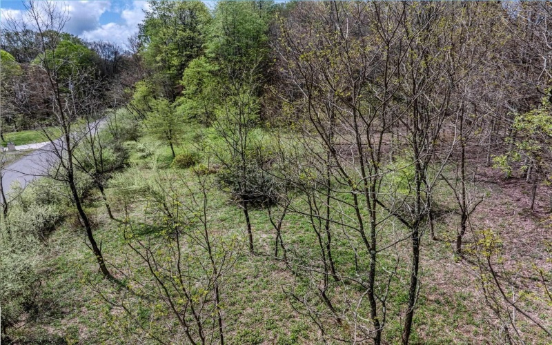 Lots 208-210 Laurel Circle, Terra Alta, West Virginia 26764, ,Lots/land,For Sale,Laurel,10159762