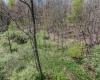 Lots 208-210 Laurel Circle, Terra Alta, West Virginia 26764, ,Lots/land,For Sale,Laurel,10159762