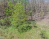 Lots 208-210 Laurel Circle, Terra Alta, West Virginia 26764, ,Lots/land,For Sale,Laurel,10159762