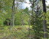 Lot 9 Chickadee Drive, Davis, West Virginia 26260, ,Lots/land,For Sale,Chickadee,10159748