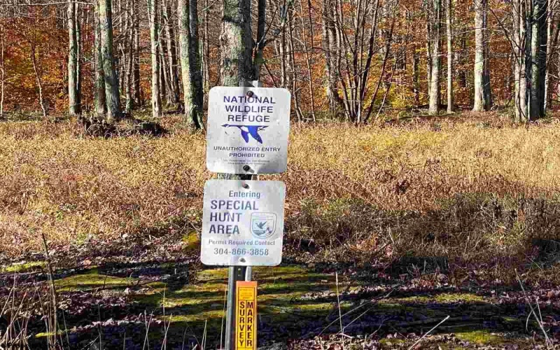 Lot 9 Chickadee Drive, Davis, West Virginia 26260, ,Lots/land,For Sale,Chickadee,10159748