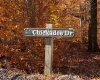 Lot 9 Chickadee Drive, Davis, West Virginia 26260, ,Lots/land,For Sale,Chickadee,10159748