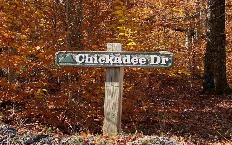 Lot 9 Chickadee Drive, Davis, West Virginia 26260, ,Lots/land,For Sale,Chickadee,10159748