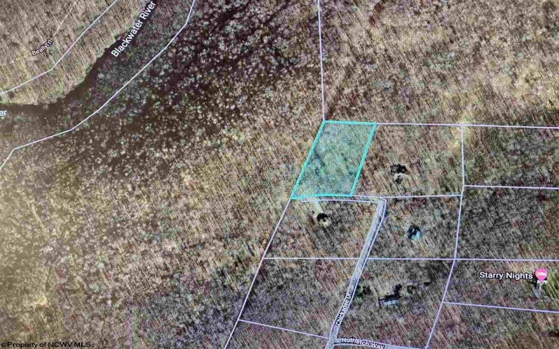 Lot 9 Chickadee Drive, Davis, West Virginia 26260, ,Lots/land,For Sale,Chickadee,10159748