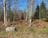 Lot 9 Chickadee Drive, Davis, West Virginia 26260, ,Lots/land,For Sale,Chickadee,10159748