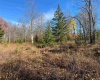 Lot 9 Chickadee Drive, Davis, West Virginia 26260, ,Lots/land,For Sale,Chickadee,10159748