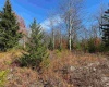 Lot 9 Chickadee Drive, Davis, West Virginia 26260, ,Lots/land,For Sale,Chickadee,10159748