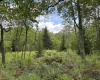 Lot 9 Chickadee Drive, Davis, West Virginia 26260, ,Lots/land,For Sale,Chickadee,10159748