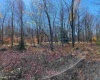 Lot 9 Chickadee Drive, Davis, West Virginia 26260, ,Lots/land,For Sale,Chickadee,10159748